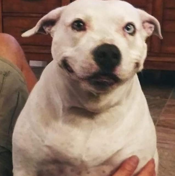 Name brand Make-up, Clothing, bags & shoes - Picture 4 of 6